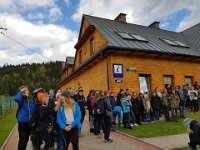 zloty lisc 2018 (2)